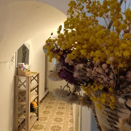Harmonie * Pigna